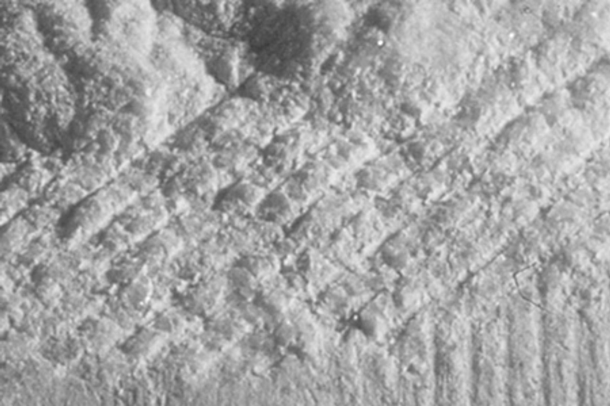 Close-up black and white photograph of a textured stone surface with visible carved patterns and markings.